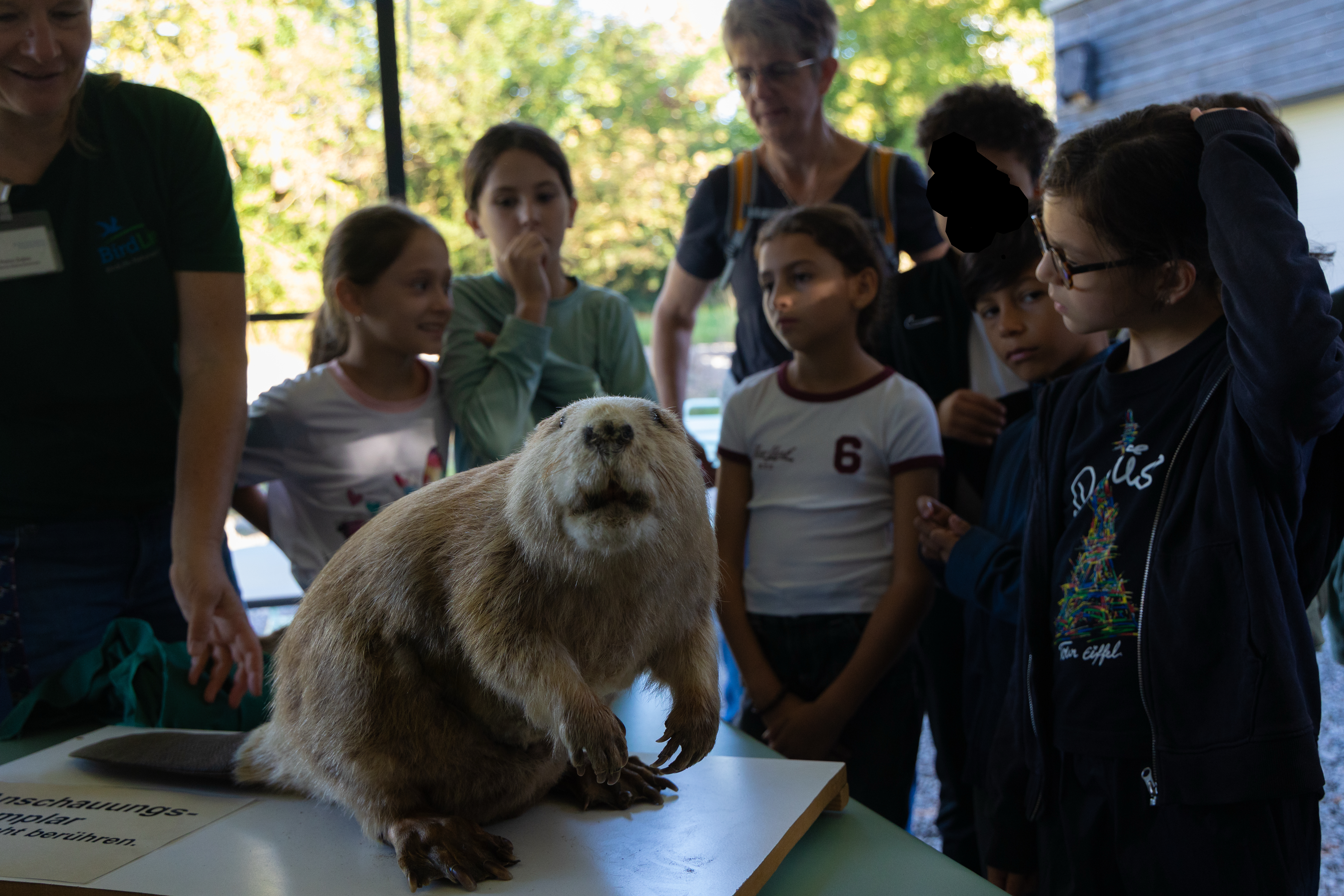 20260916_090728_Biber_excursion_72